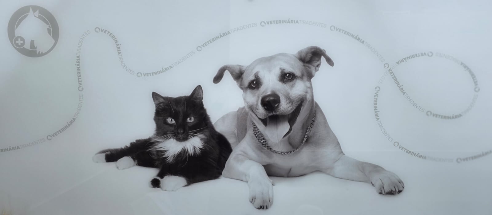 WhatsApp Image 2025-10-23 at 18.45.14